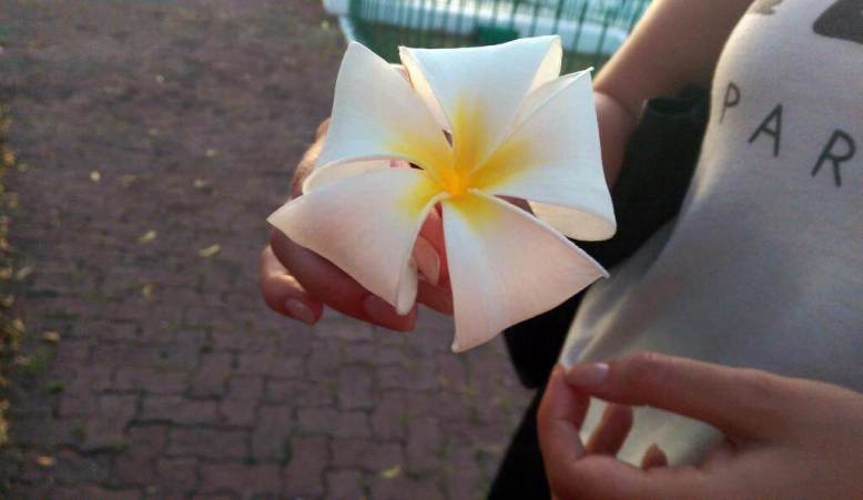 Walking Tour with Dr Anthony Richards