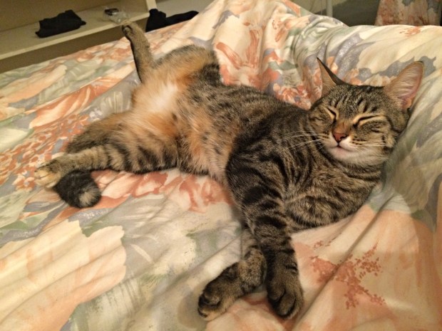 Photo by Helen Cammock