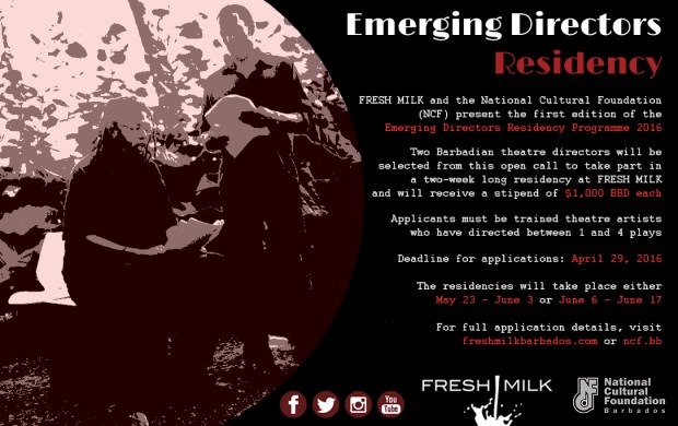 FM-NCF Emerging Director Residency Flyer
