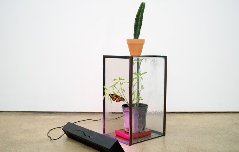 Franky-Cruz-Sistema-No.3-2016-crop